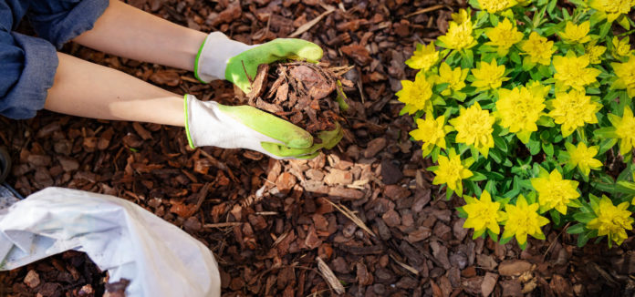 top winter jobs mulching